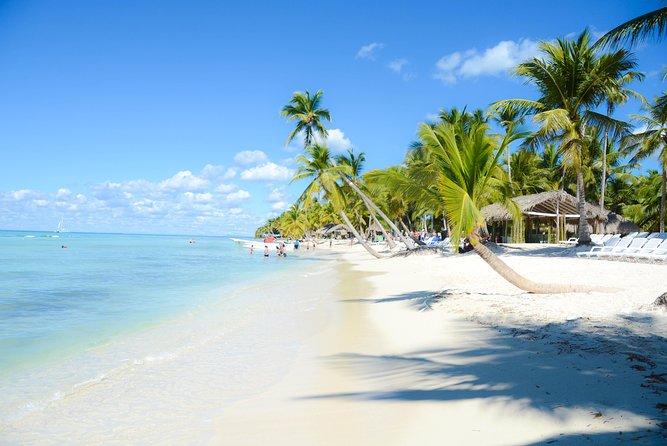 Punta Cana : Saona Island Day Tour - The Dominican buffet lunch