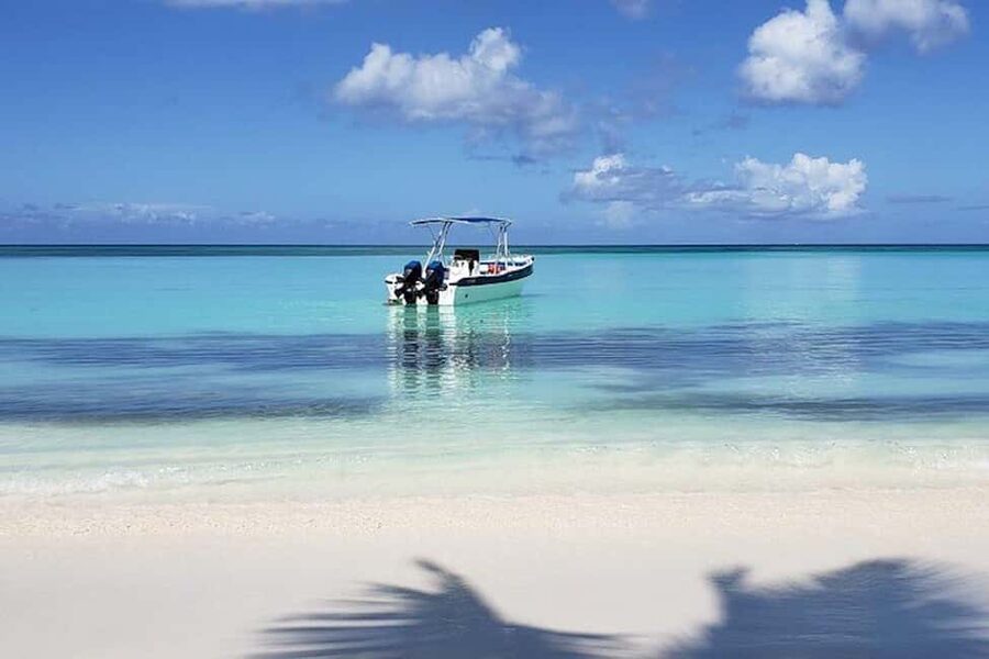 Punta Cana: Saona Island Full-Day Group Tour - Key points to know before booking