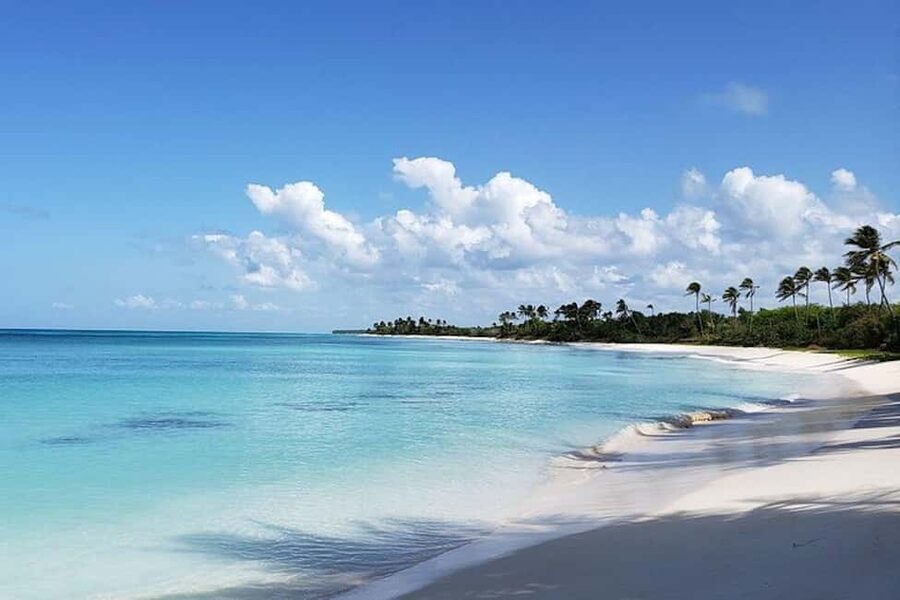 Punta Cana: Saona Island Full-Day Group Tour - Is $165 a fair price?