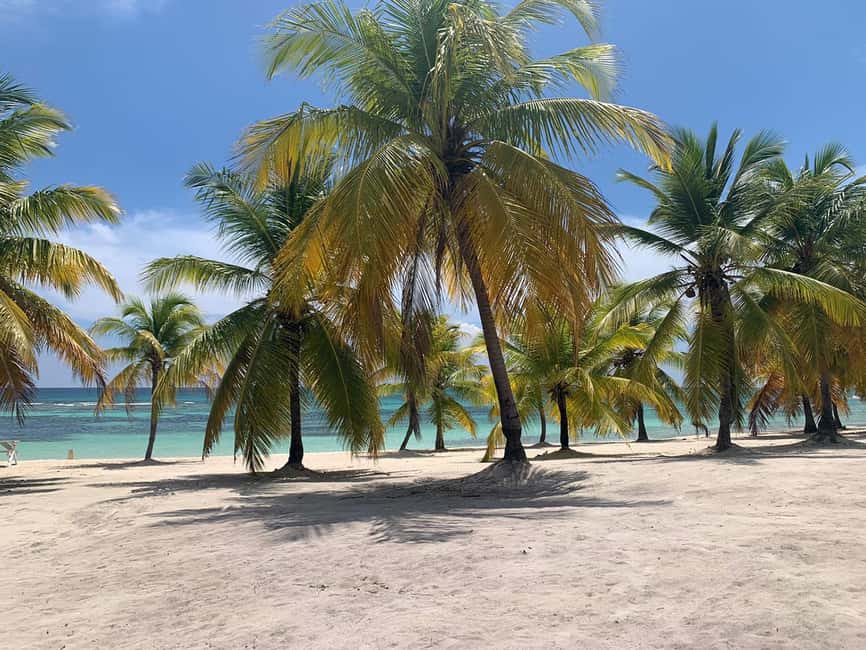 Punta Cana: Saona Island Premium 3 beaches - Key points to know before booking