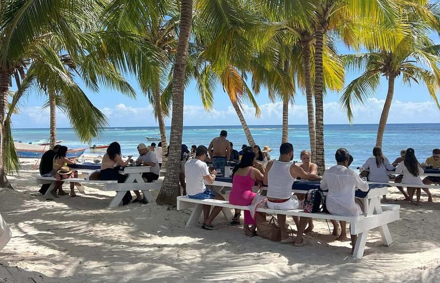 Punta Cana: Saona Island Premium 3 beaches - Turtle sanctuary and the responsibility of touching nothing