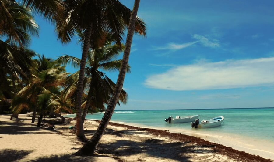 Punta Cana: Saona Island Tour with Lunch and Drinks - The catamaran ride back to Bayahibe