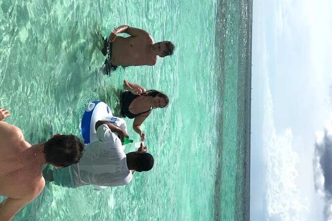 Punta Cana: Saône Island in Catamaran, Small Groups, With Food - The sandbank and beach are the day’s high point