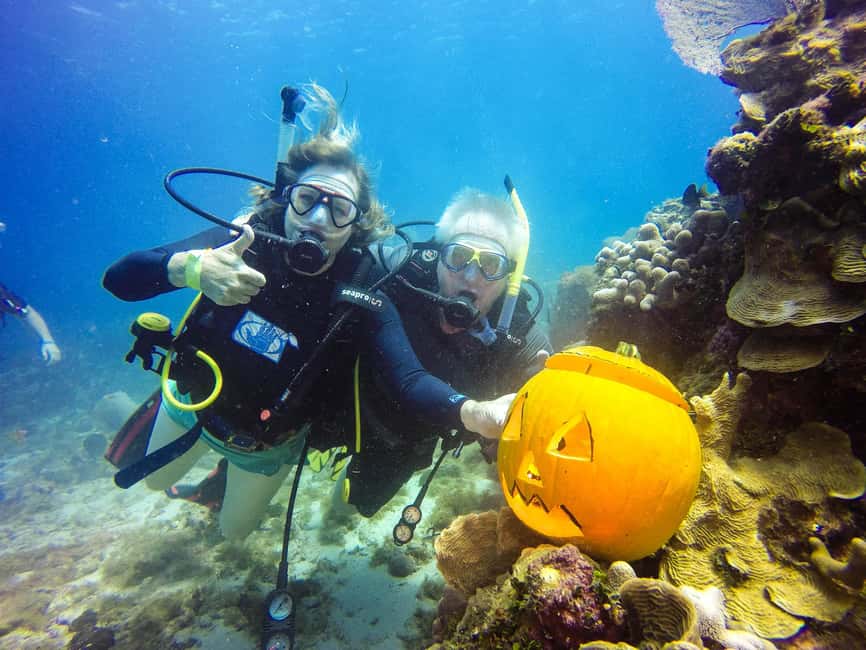 Punta Cana: Scuba Diving Adventure to Catalina Island - Key points to know before you book