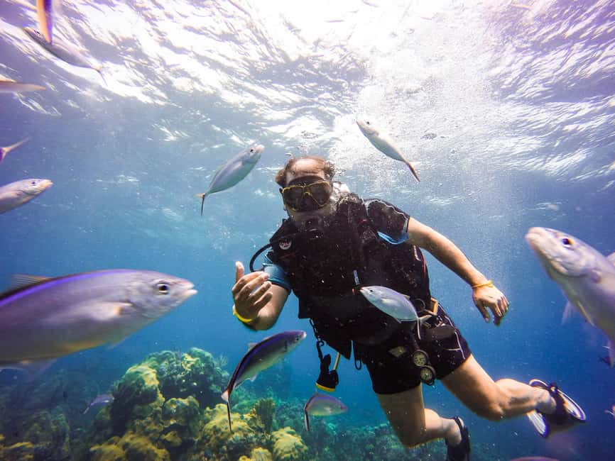 Punta Cana: Scuba Diving Adventure to Catalina Island - The long road from Punta Cana to La Romana