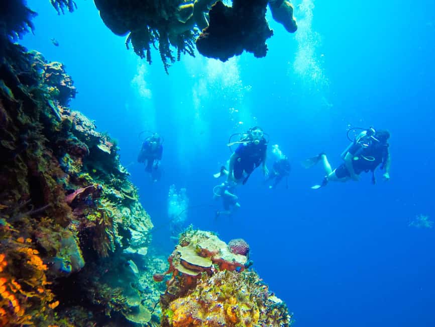 Punta Cana: Scuba Diving Adventure to Catalina Island - Practical ways to make the day easier