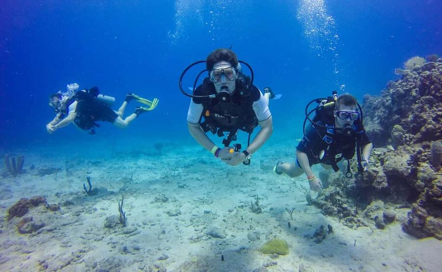 Punta Cana: Scuba Diving Adventure to Catalina Island - Meeting the PADI-certified team at the marina