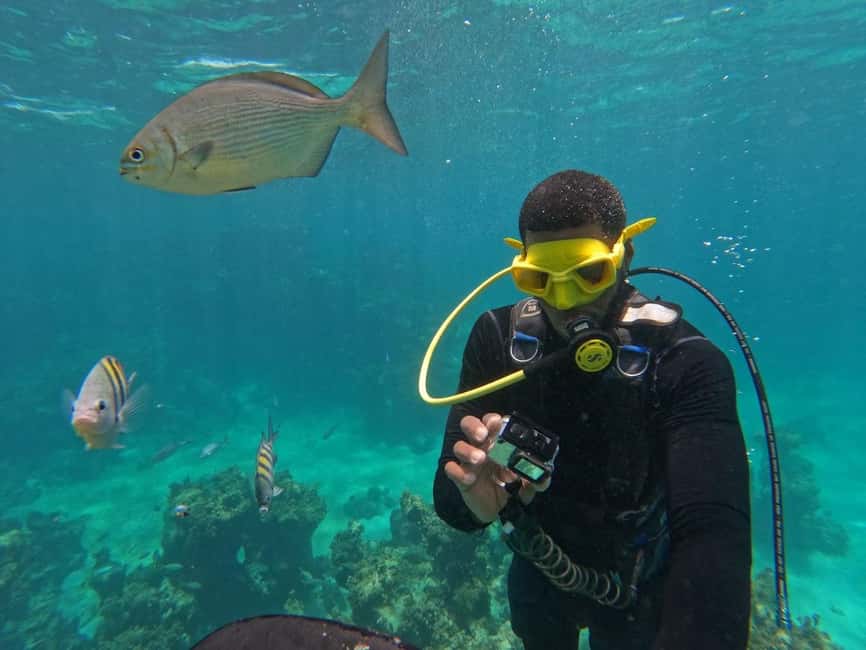 Punta Cana: Scuba Doo Adventure with Round-Trip Transfer - Who should book this Punta Cana excursion?
