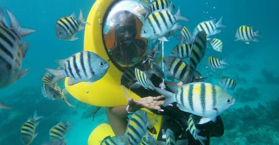 Punta Cana: Scubadoo Ocean Exploration Diving Adventure - Should you book the Punta Cana ScubaDoo outing?