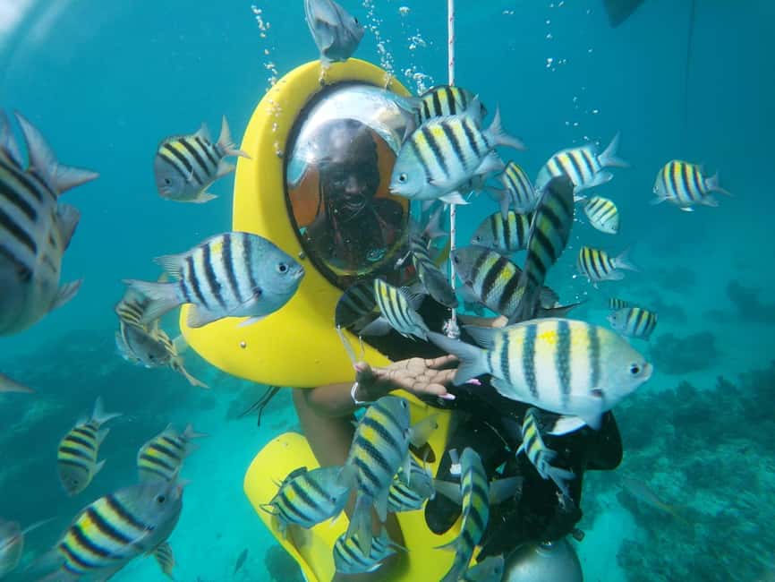 Punta Cana: Scubadoo Ocean Exploration Diving Adventure - The platform and the 3 to 5 meter underwater route