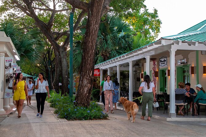 Punta Cana Shopping Tour - Drivers, waiting time, and practical help