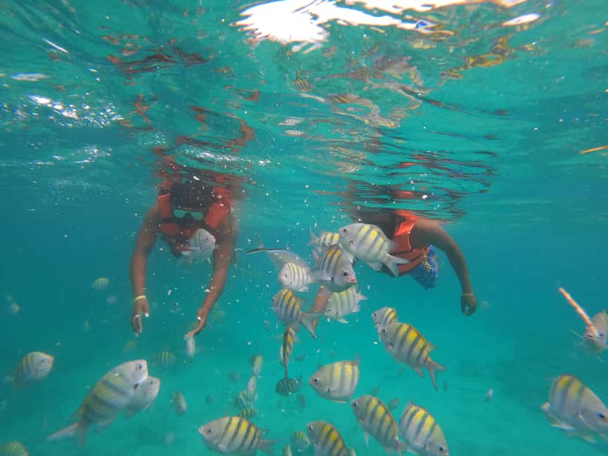 Punta Cana: Speed Boat Ride & Snorkel Adventure - The $65 price: a fair deal for an active half-day