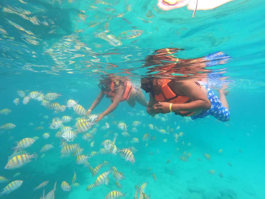Punta Cana: Speed Boat Ride & Snorkel Adventure - Who will enjoy this most