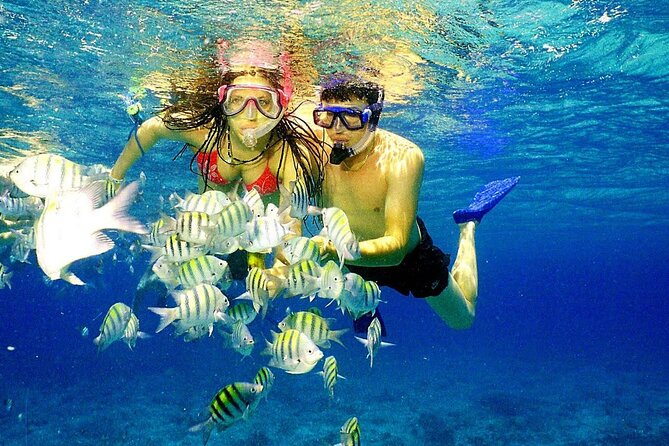 Punta Cana Speed Boat Tour and Snorkeling - The speedboat ride along Punta Cana’s shore