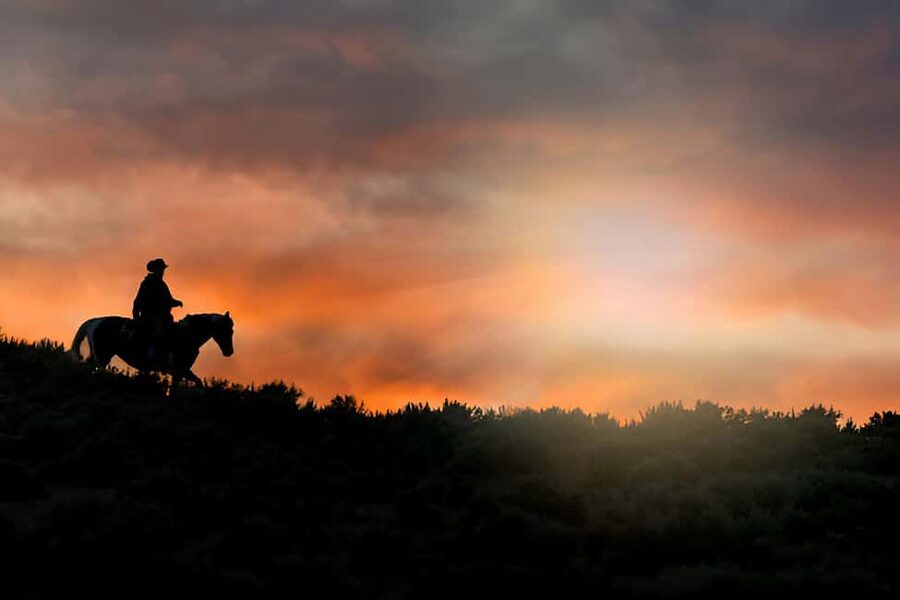 Punta Cana: Sunset Horseback Ride in Macao Beach and Forest - Through the forest and along the smaller beach