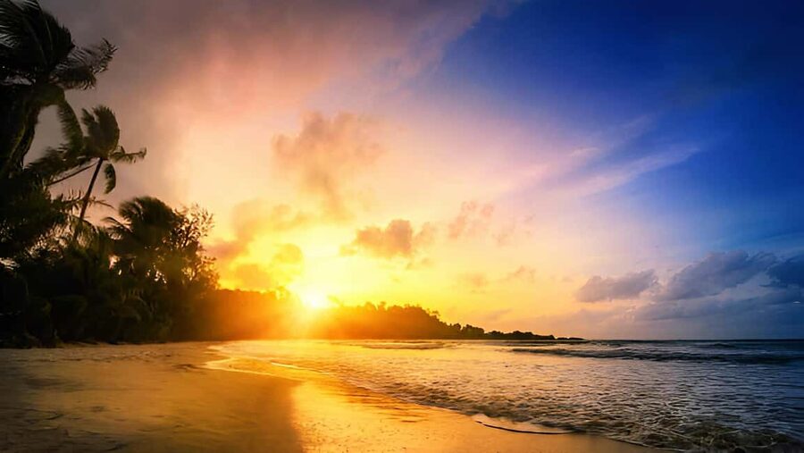 Punta Cana: Sunset Horseback Ride in Macao Beach and Forest - Who should book this horseback ride?