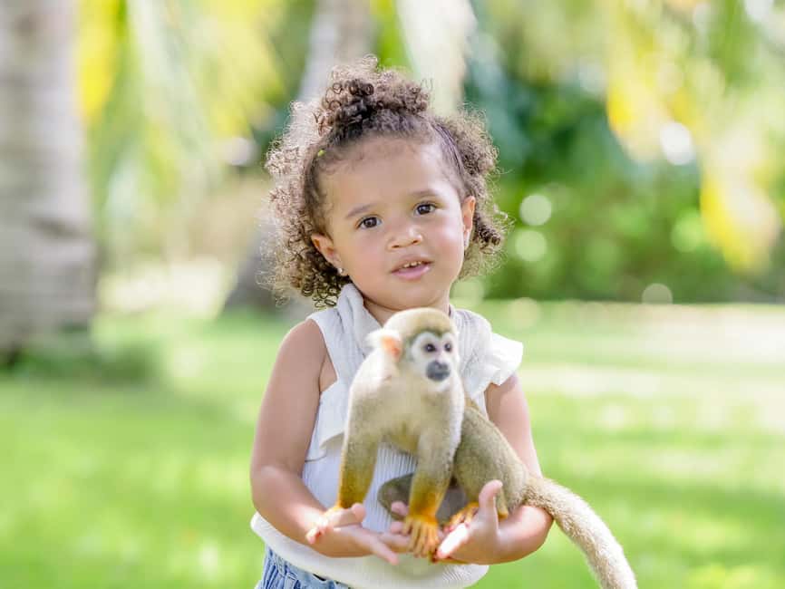Punta Cana: Tour Monkey Adventure With Hotel Pick Up - Four monkey species, not just a quick photo stop