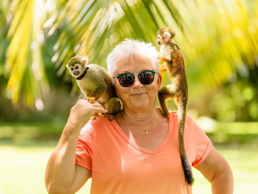 Punta Cana: Tour Monkey Adventure With Hotel Pick Up - What the three-hour visit is really like