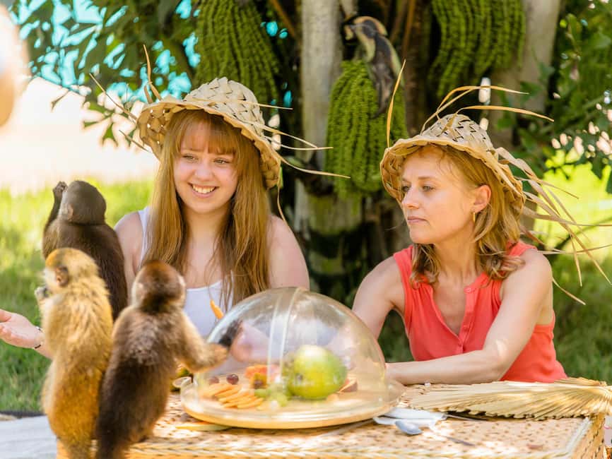 Punta Cana: Tour Monkey Adventure With Hotel Pick Up - The photo issue you should understand first