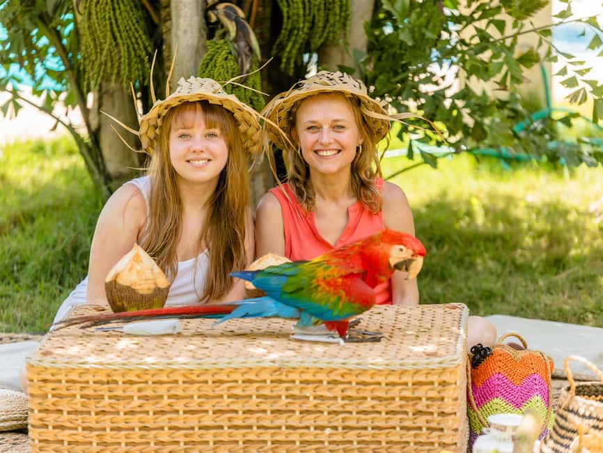 Punta Cana: Tour Monkey Adventure With Hotel Pick Up - A local store adds a short cultural stop