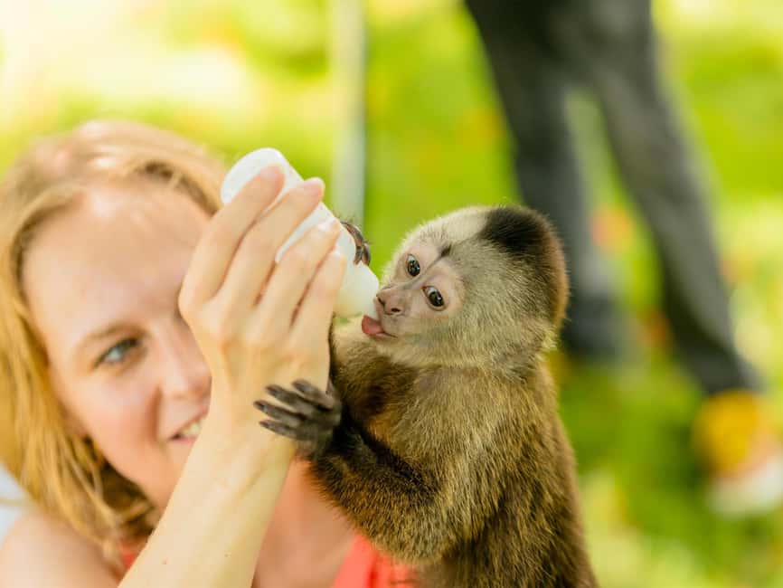 Punta Cana: Tour Monkey Adventure With Hotel Pick Up - Transport, guides, and group size