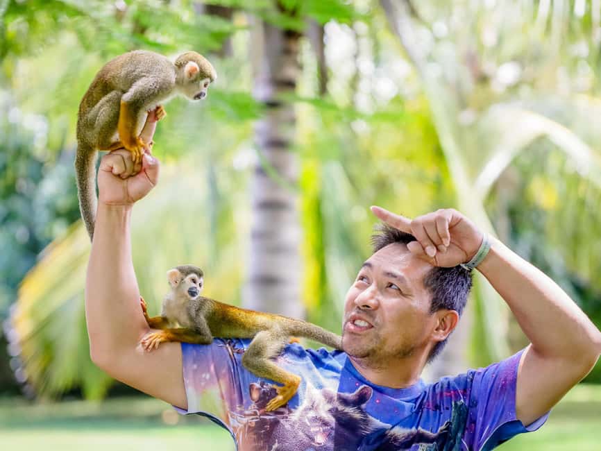 Punta Cana: Tour Monkey Adventure With Hotel Pick Up - Bottle-feeding the baby monkey