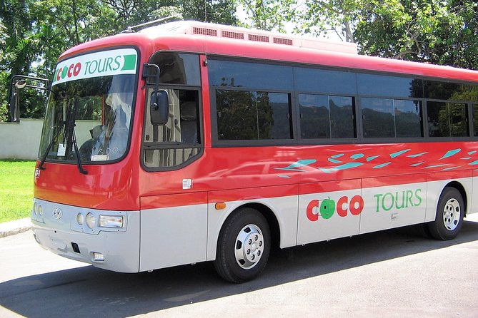 Punta Cana transfer to local resorts - Comfort, group size, and who should book