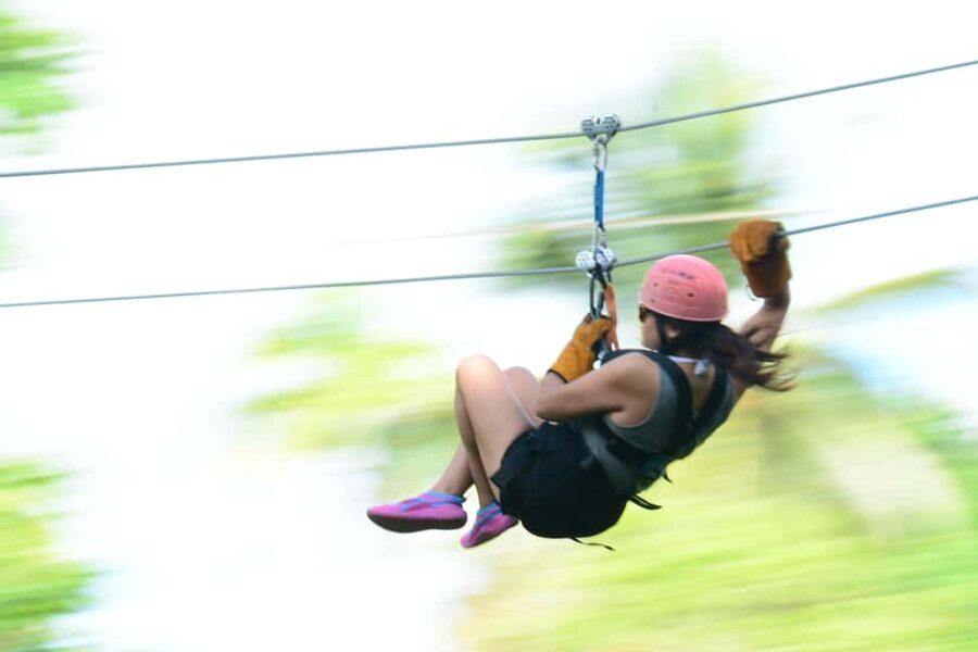Punta Cana: Triple Jungle Adventure Park Tour with Tastings - Meeting the squirrel monkeys at Monkeyland