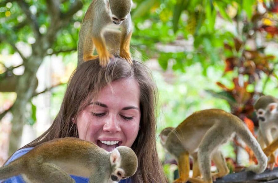 Punta Cana: Triple Jungle Adventure Park Tour with Tastings - What to wear and bring