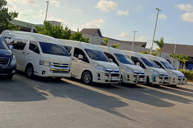 Punta Cana VIP Private Transfer Service - Key points to know before booking