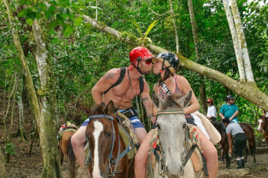 Punta Cana: Whale Watching, Cayo Levantado & Limon Waterfall - What the $160 price really covers