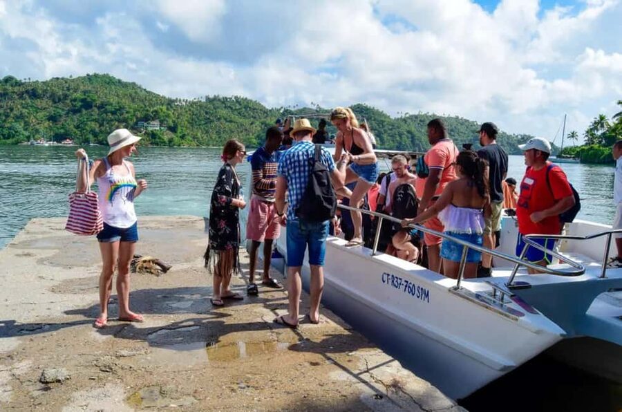 Punta Cana: Whale Watching, Cayo Levantado & Limon Waterfall - Reliability and organization