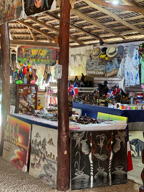 Punta Cana: Wild Off-Road Dune Buggy Adventure - Key points at a glance