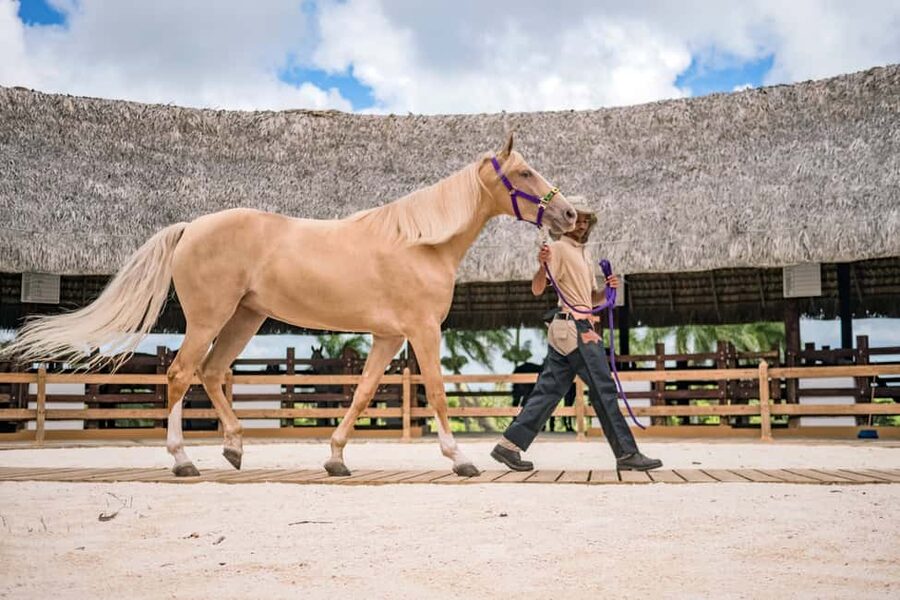 Punta Cana: Xploration Animal Park Bus Tour with Encounters - Practical details that can save you trouble