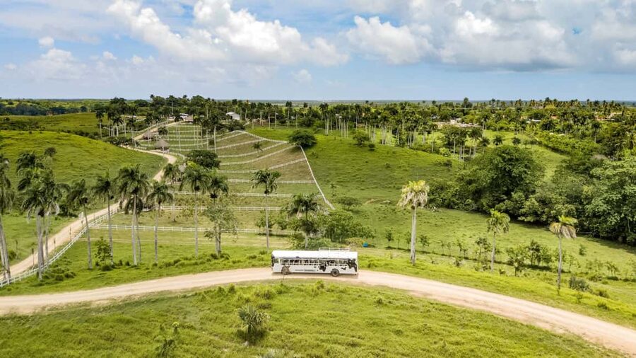 Punta Cana: Xploration Animal Park Bus Tour with Encounters - The panoramic bus ride gives you the big picture