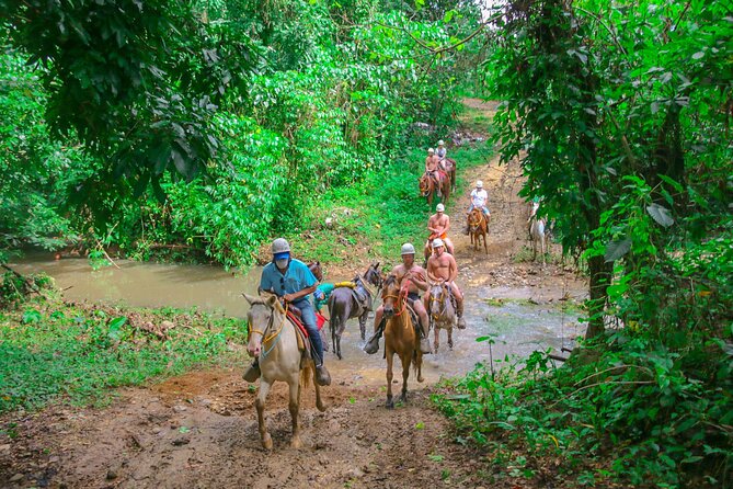Punta Cana Zipline Adventure with Buggies and Horseback Riding - Hacienda Tuko gives you three very different adventures