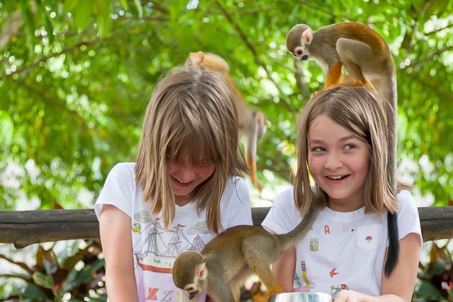 Punta Cana: Ziplines Adventures & Monkeyland Entry - Key points before you book