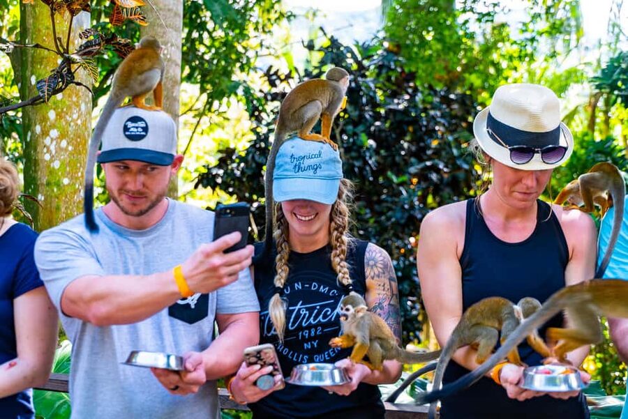 Punta Cana: Ziplines Adventures & Monkeyland Entry - Two very different adventures in the Anamuya mountains