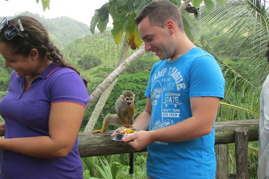 Punta Cana: Ziplines Adventures & Monkeyland Entry - Monkeyland and the squirrel monkeys