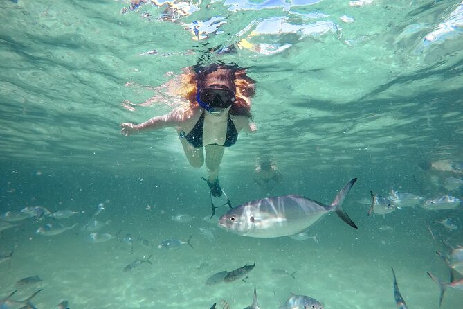 Reef Explorer Half Day Trip - Key points at a glance