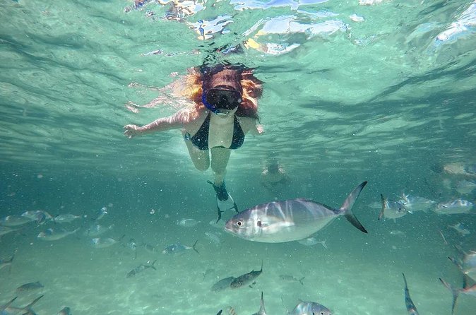 Reef Explorer Half Day Trip - Who should book this experience