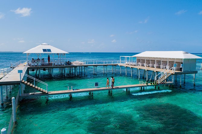 Reef Explorer Multiple activity Excursion from Punta Cana by Marinarium - Starting at Marinarium Park near Cabeza de Toro
