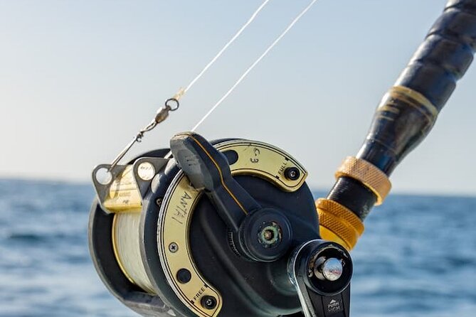 Reel Adventures: A Fin-tastic Fishing Tour - Getting started with supplied rods and tackle