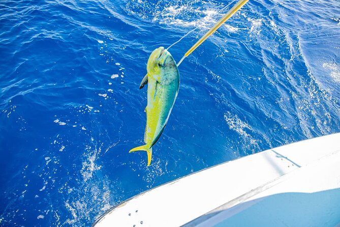 Reel Adventures: A Fin-tastic Fishing Tour - Open-water views, warm sun, and a few beers