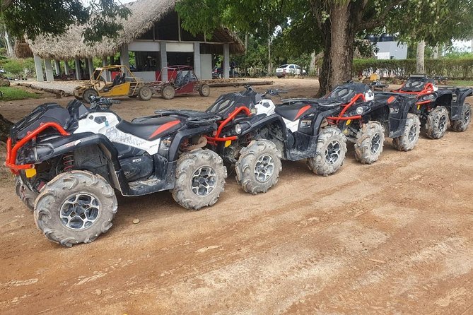 River Cave and Macao Beach Half-Day Quad Bike Adventure - What the $79.99 price really covers