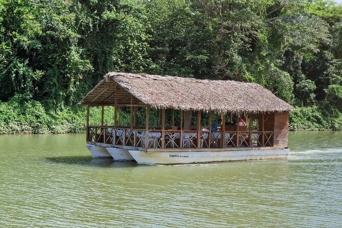 Rivers, Jungle with Buggies Adventure in Bayahibe - What the three-hour Bayahibe buggy tour is really like