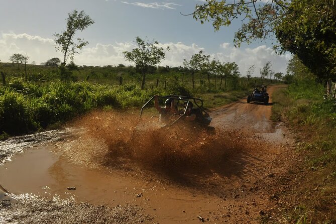 Rivers, Jungle with Buggies Adventure in Bayahibe - Swimming in the Chavón River