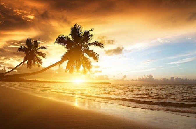 Royalton Bavaro- Round Trip Shuttle - Punta Cana Airport - Group size, comfort, and practical limits
