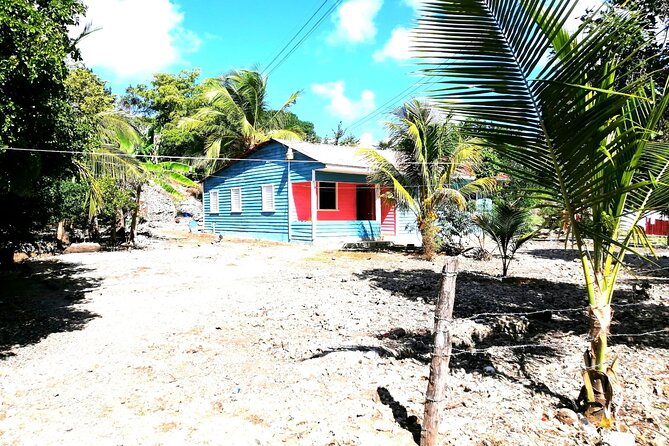 Safari discovery to Boca De Yuma – Nature, Discovery And History Of A Population - Key points to know before you book