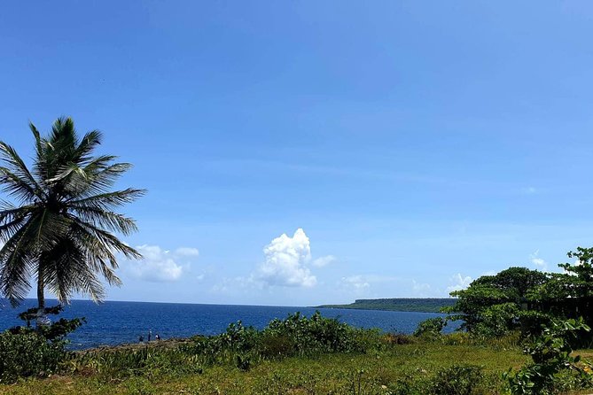 Safari discovery to Boca De Yuma – Nature, Discovery And History Of A Population - Seafood lunch with drinks included